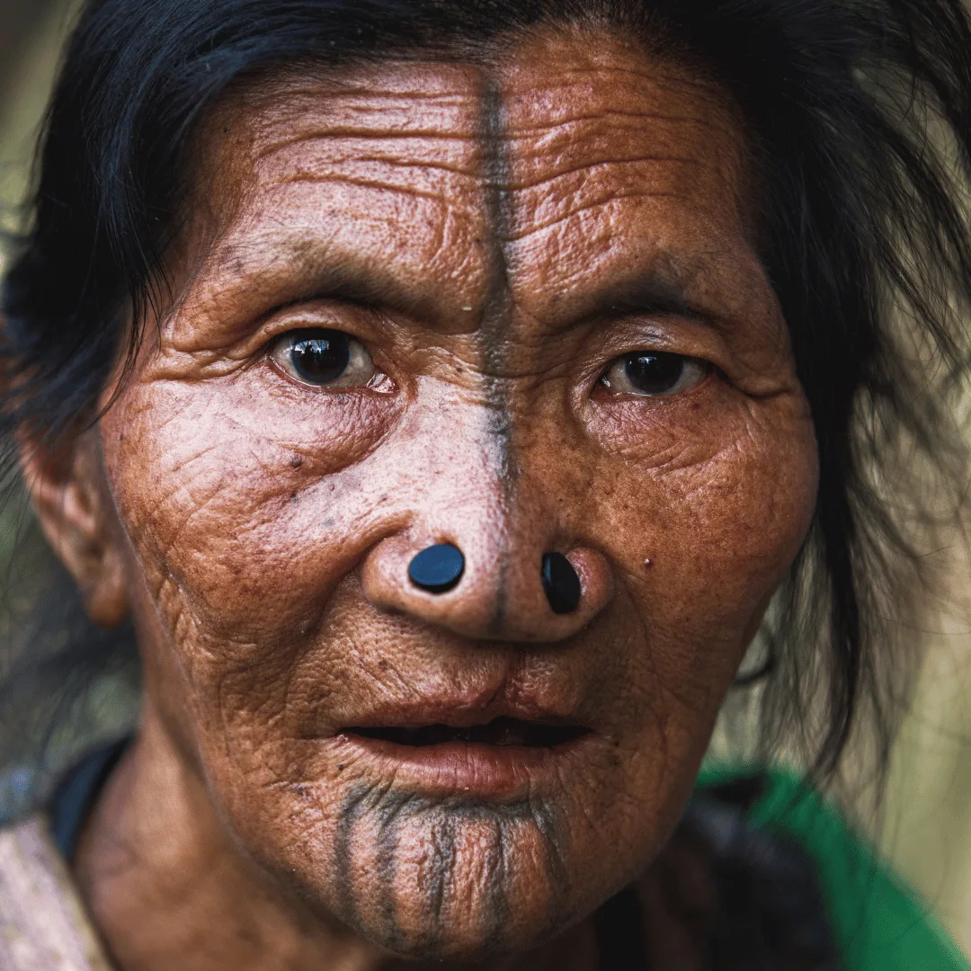 Indigenous Resilience in Electoral Politics