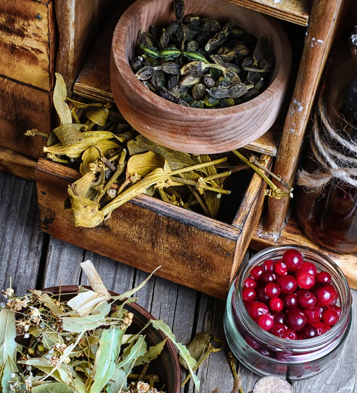 Medicinal Plants