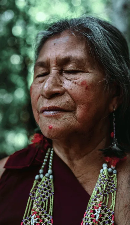 Indigenous Peoples