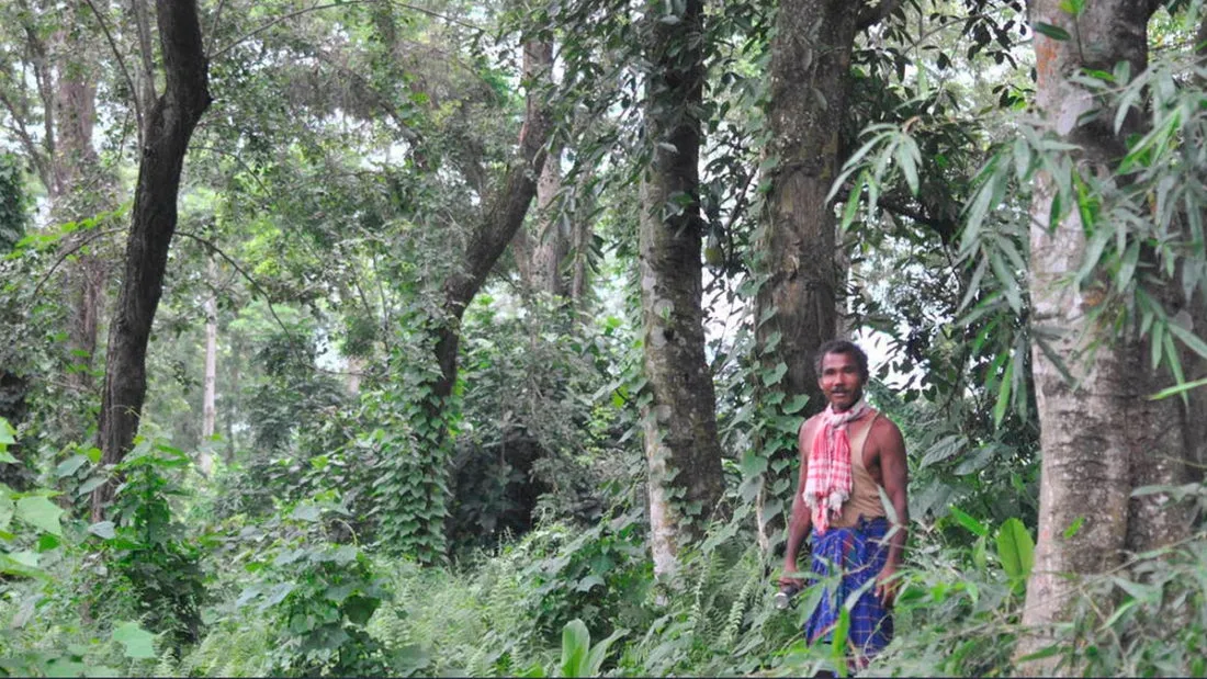 Jadav Payeng -