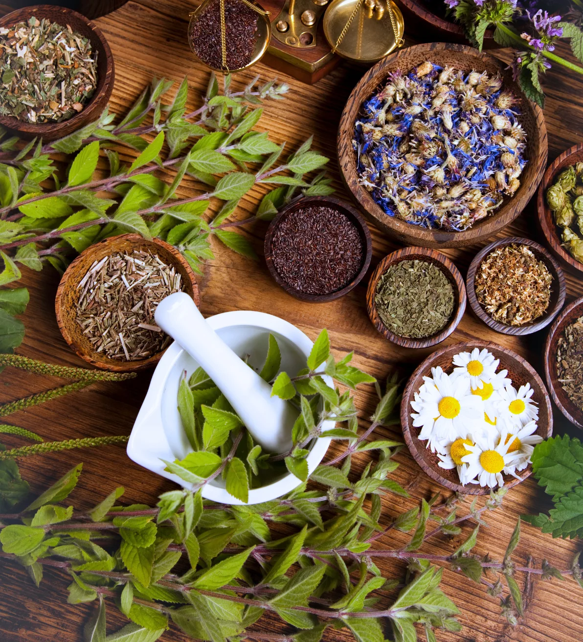 Medicinal plants