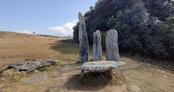 Faith meets conservation in Mawphlang sacred forest of Meghalaya
