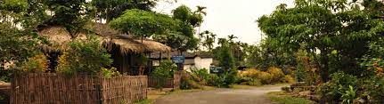 Mawlynnong village in Meghalaya, Mawlynnong tour | Purvi Discovery