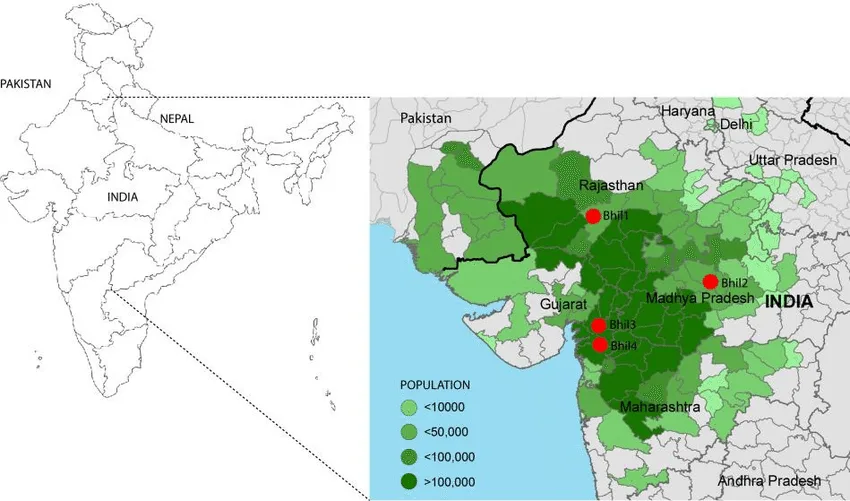 Geographical distribution of bhils