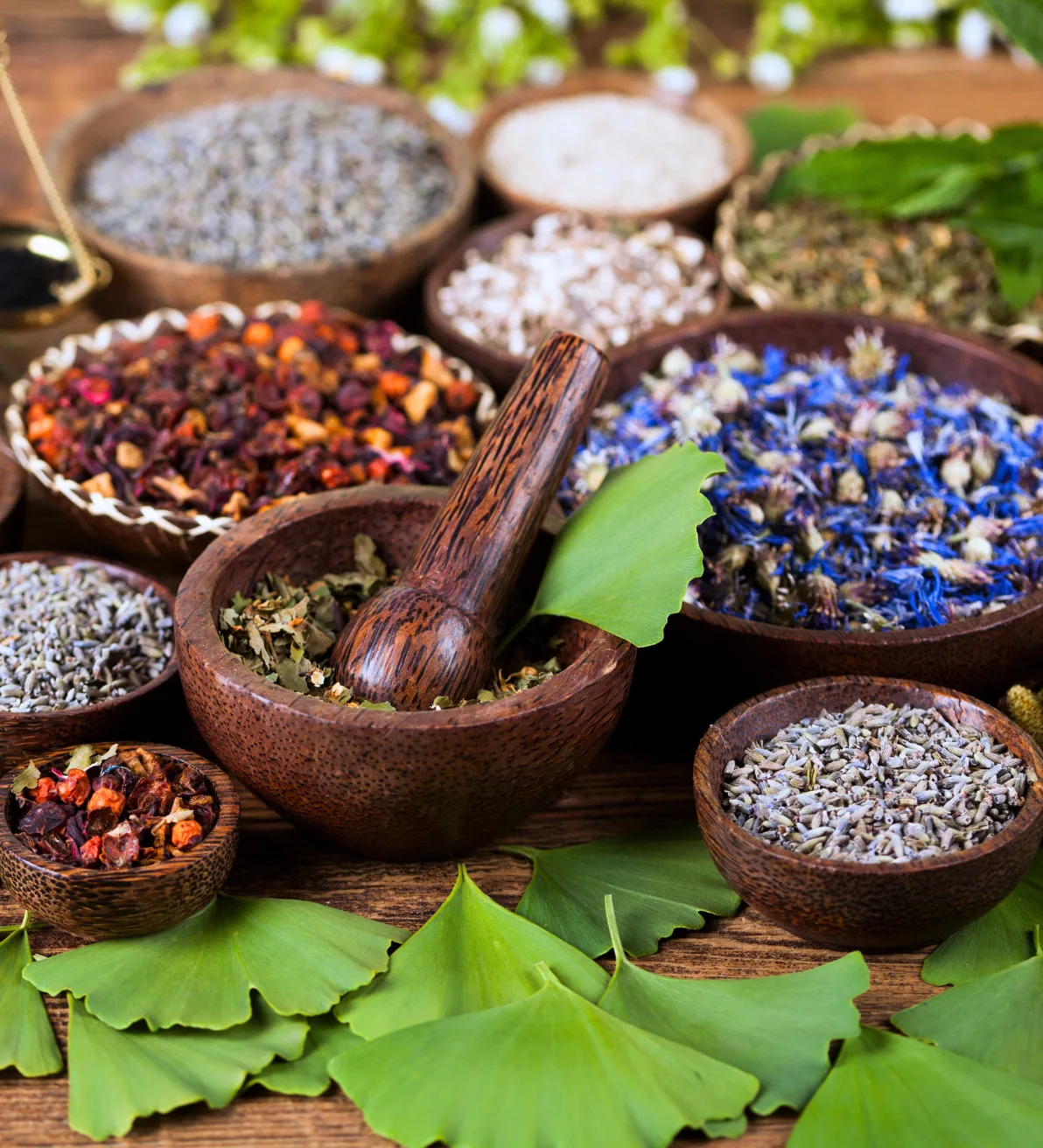 Medicinal Plants